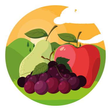 İzole edilmiş tropikal meyve vektör tasarımı