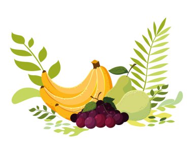 İzole edilmiş tropikal meyve vektör tasarımı