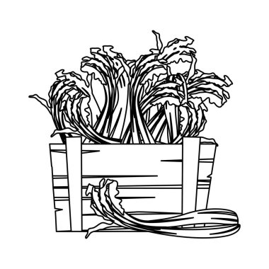 İzole edilmiş kereviz ikon vektör tasarımı