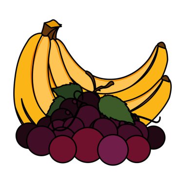 İzole edilmiş tropikal meyve vektör tasarımı