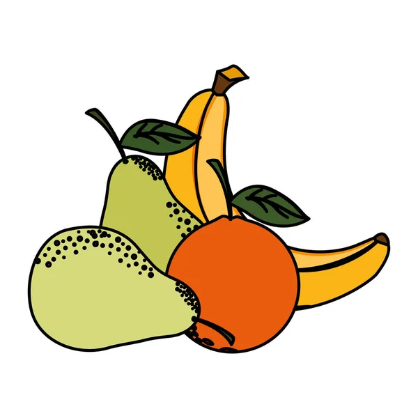 Frutas tropicais isoladas definem desenho vetorial — Vetor de Stock