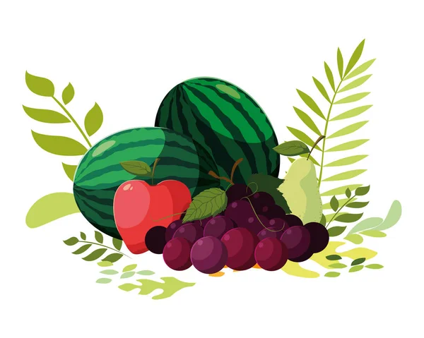 Diseño vectorial de frutas tropicales aisladas — Vector de stock