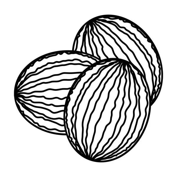 Изолированные арбузы — стоковый вектор