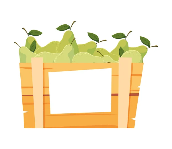 Izolované hrušky box ovoce vektor design — Stockový vektor