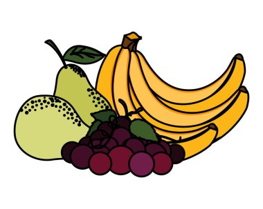 İzole edilmiş tropikal meyve vektör tasarımı