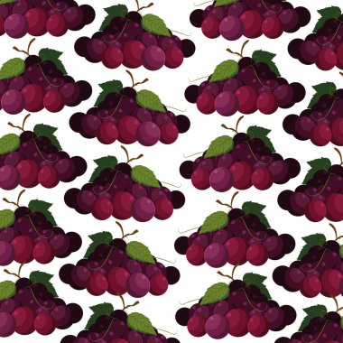 İzole üzümler arkaplan vektör tasarımı
