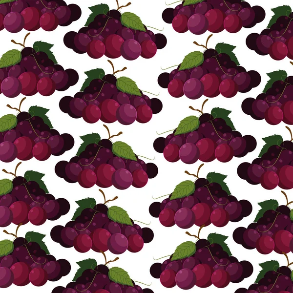 Diseño del vector de fondo de uvas aisladas — Vector de stock