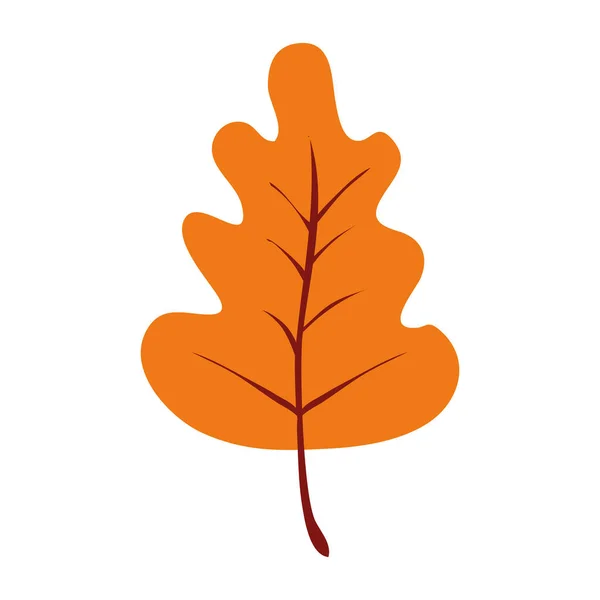 Icône de conception vectorielle feuille d'automne — Image vectorielle
