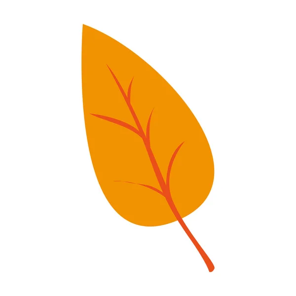 Autumn blad vektor design ikon — Stock vektor