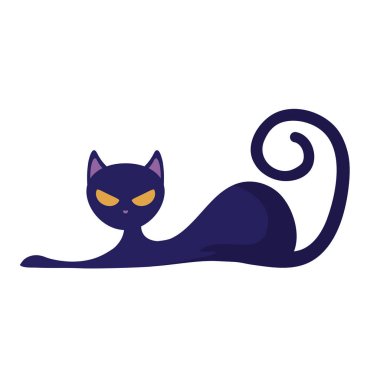 cadılar bayramı kedi kedi hayvan