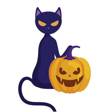 kedi izole simgesi ile halloween kabak