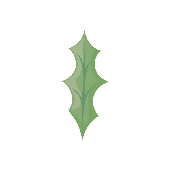 Weihnachtssymbol Blatt Stechpalme, Blätter mit Beeren auf weißem Hintergrund — Stockvektor