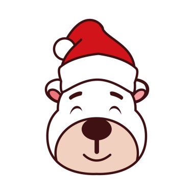 Şapkalı kutup ayısının başı.