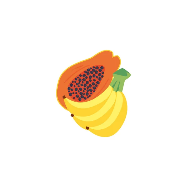 Delicious fruits banana and papaya on white background — Stock Vector