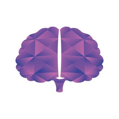 insan beyni beyaz arkaplanda