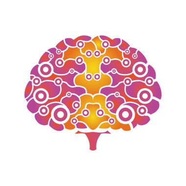 insan beyni beyaz arkaplanda