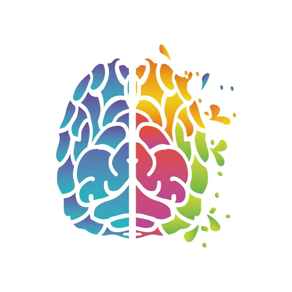 Dos hemisferios del cerebro sobre un fondo blanco — Vector de stock