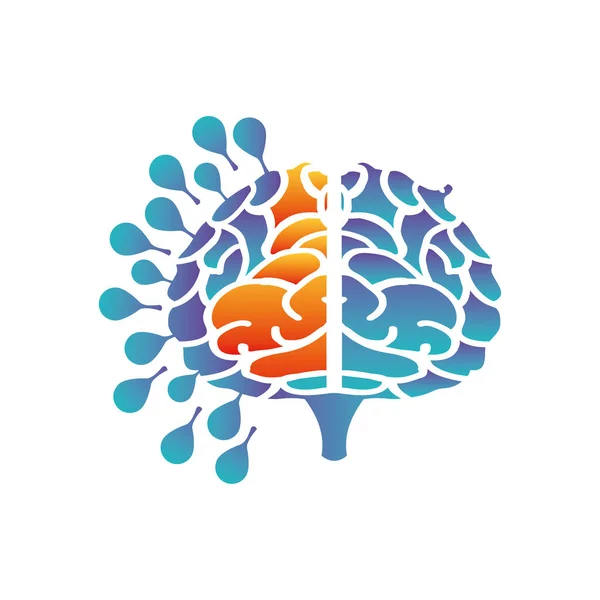 Le cerveau humain sur fond blanc — Image vectorielle