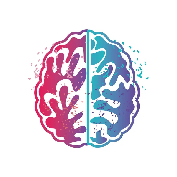 Dos hemisferios del cerebro sobre un fondo blanco — Vector de stock