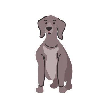 Beyaz arka planda sevimli bir köpek.