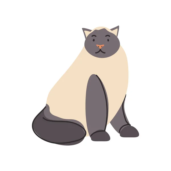 Lindo gato doméstico sobre fondo blanco — Vector de stock