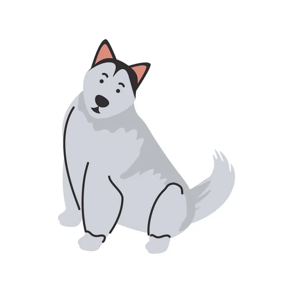 Lindo perro mascota sobre fondo blanco — Vector de stock