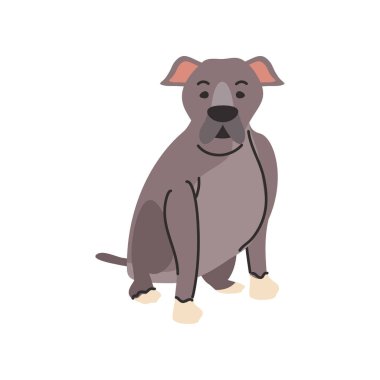 Beyaz arka planda sevimli bir köpek.