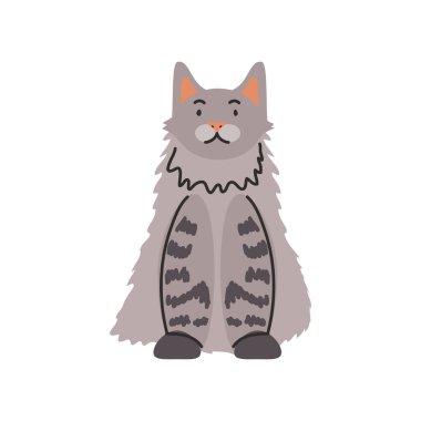 Beyaz arka planda sevimli ev kedisi