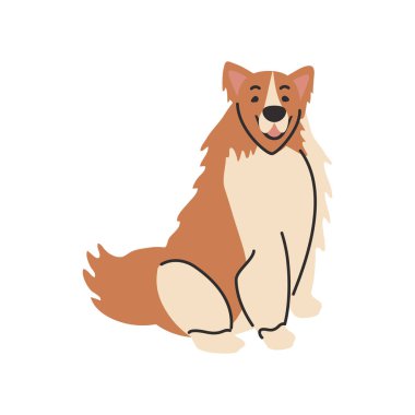 Beyaz arka planda sevimli bir köpek.