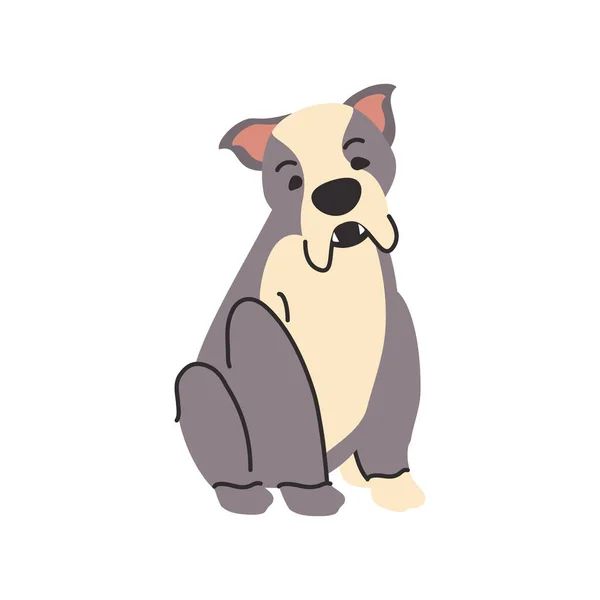 Lindo perro mascota sobre fondo blanco — Vector de stock