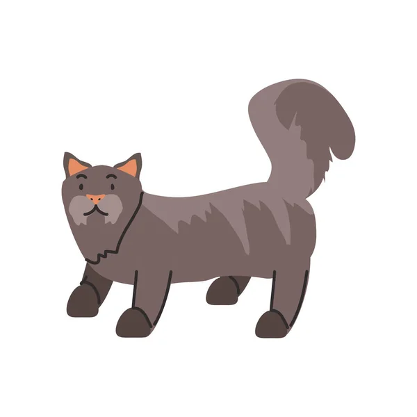 Lindo gato doméstico sobre fondo blanco — Vector de stock