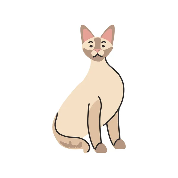 Roztomilý domácí kočka na bílém pozadí — Stockový vektor