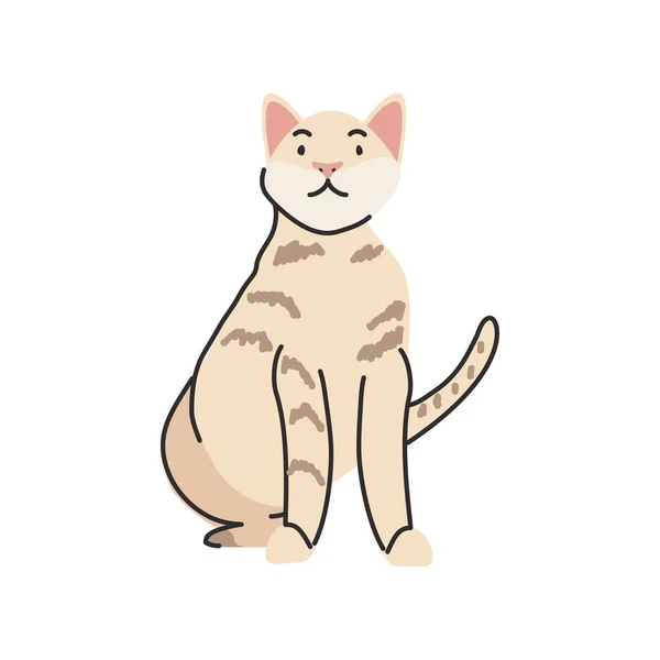 Милий домашній кіт на білому тлі — стоковий вектор