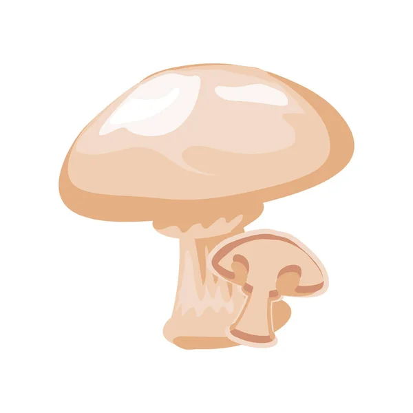 Cogumelo fresco no fundo branco —  Vetores de Stock