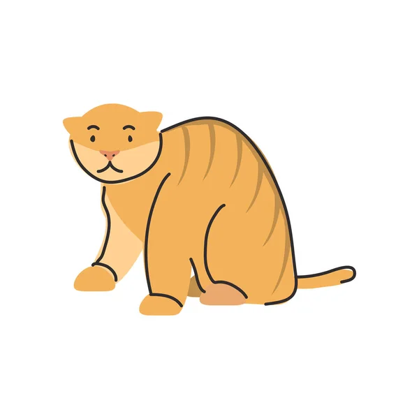 Lindo gato doméstico sobre fondo blanco — Vector de stock