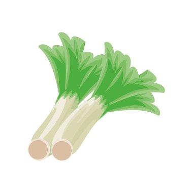 Beyaz arkaplanda pırasalı soğan