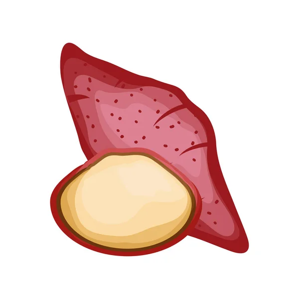 Süßkartoffel auf weißem Hintergrund — Stockvektor