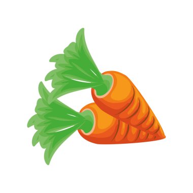 Beyaz arka planda yaprakları olan havuç,