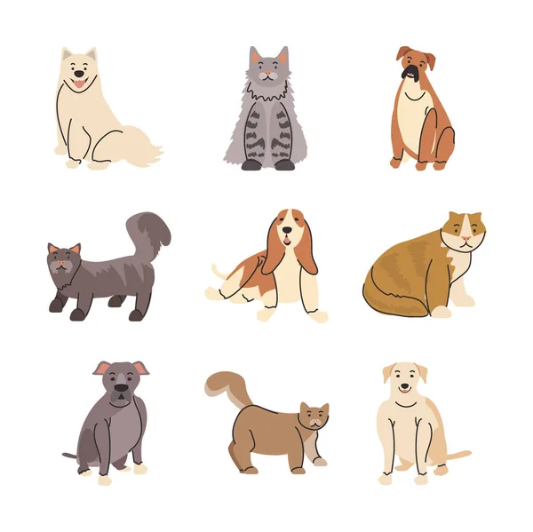 Zestaw zwierząt domowych, różne rasy psów i kotów — Wektor stockowy