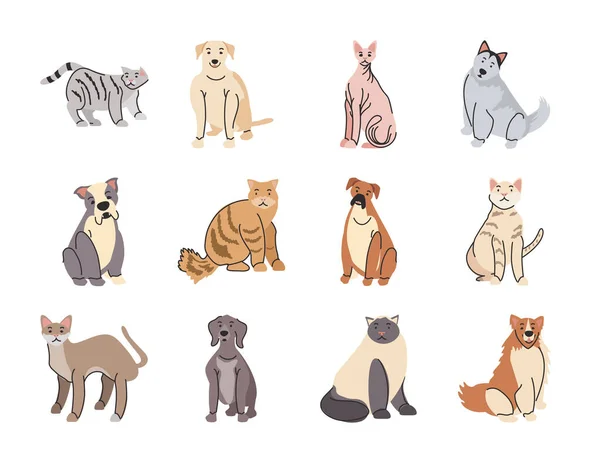 여러 종류의 개와 고양이들로 구성 된 애완 동물들 — 스톡 벡터