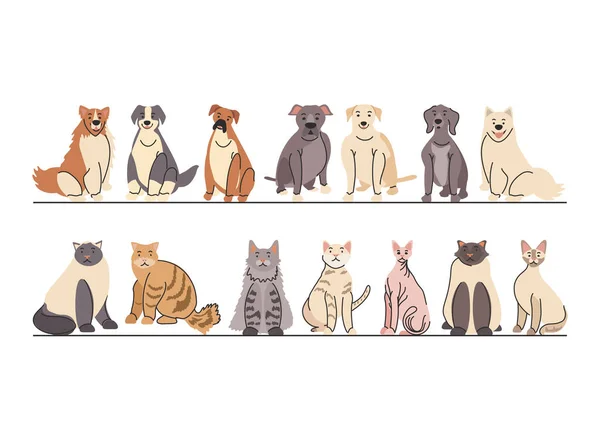 Juego de mascotas, diferentes razas de perros y gatos — Vector de stock