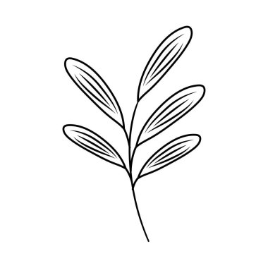 Beyaz arkaplanda botanik yaprak