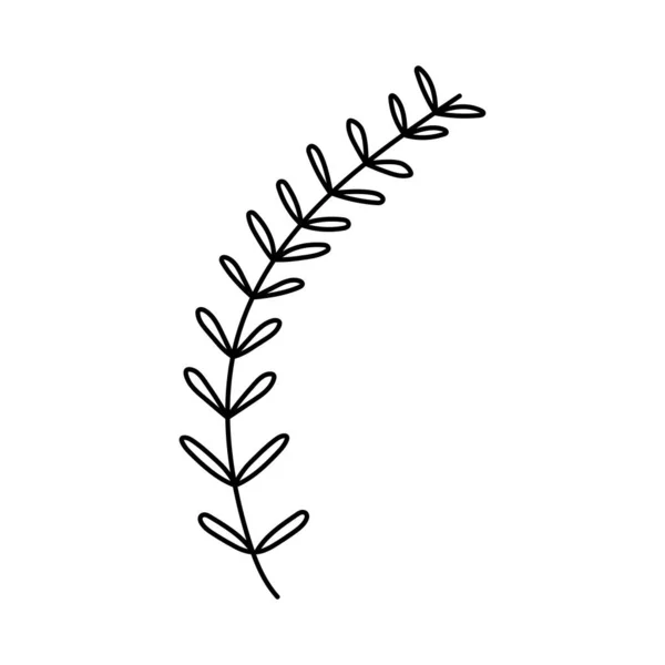 Φύλλα φοίνικα τροπική φύση φυτό σε λευκό φόντο — Διανυσματικό Αρχείο