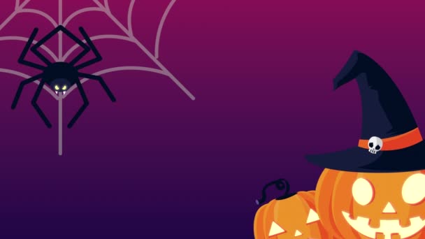 Animación feliz halloween con calabazas y araña — Vídeo de stock