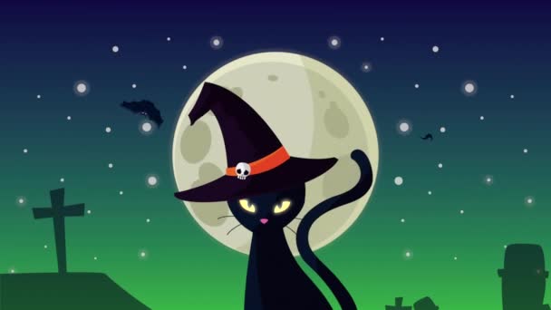 Glad halloween animation med katt bär häxa hatt — Stockvideo