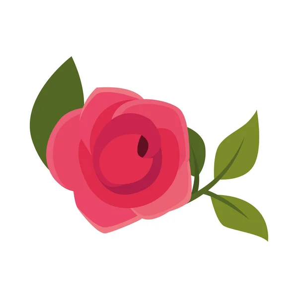 Flor de rosa con hojas vector de diseño — Archivo Imágenes Vectoriales