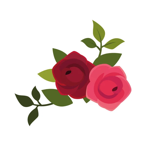 Flores de rosas con hojas vector de diseño — Vector de stock