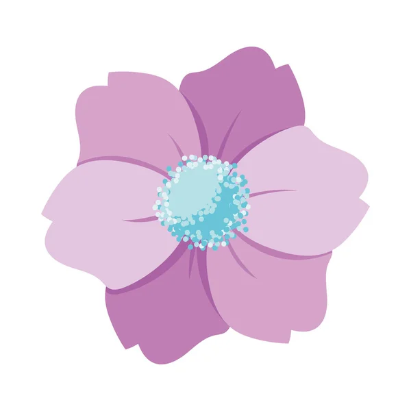 Design de vetor de flor roxo isolado — Vetor de Stock