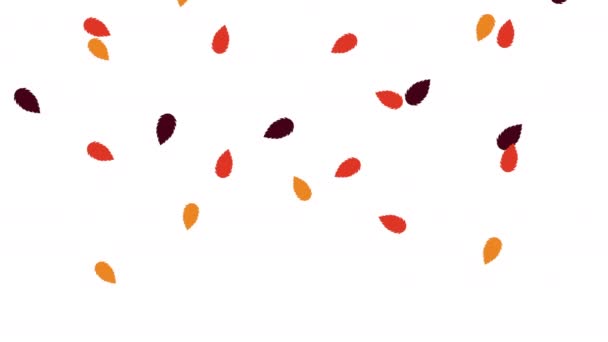 Witaj jesienna animacja z wzorem liści — Wideo stockowe