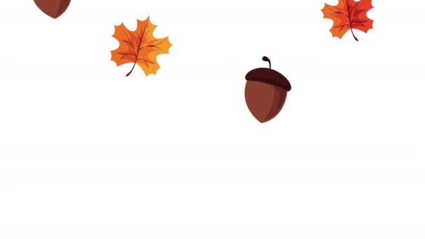 Hallo Herbst Animation mit Blättern und Nüssen Muster — Stockvideo